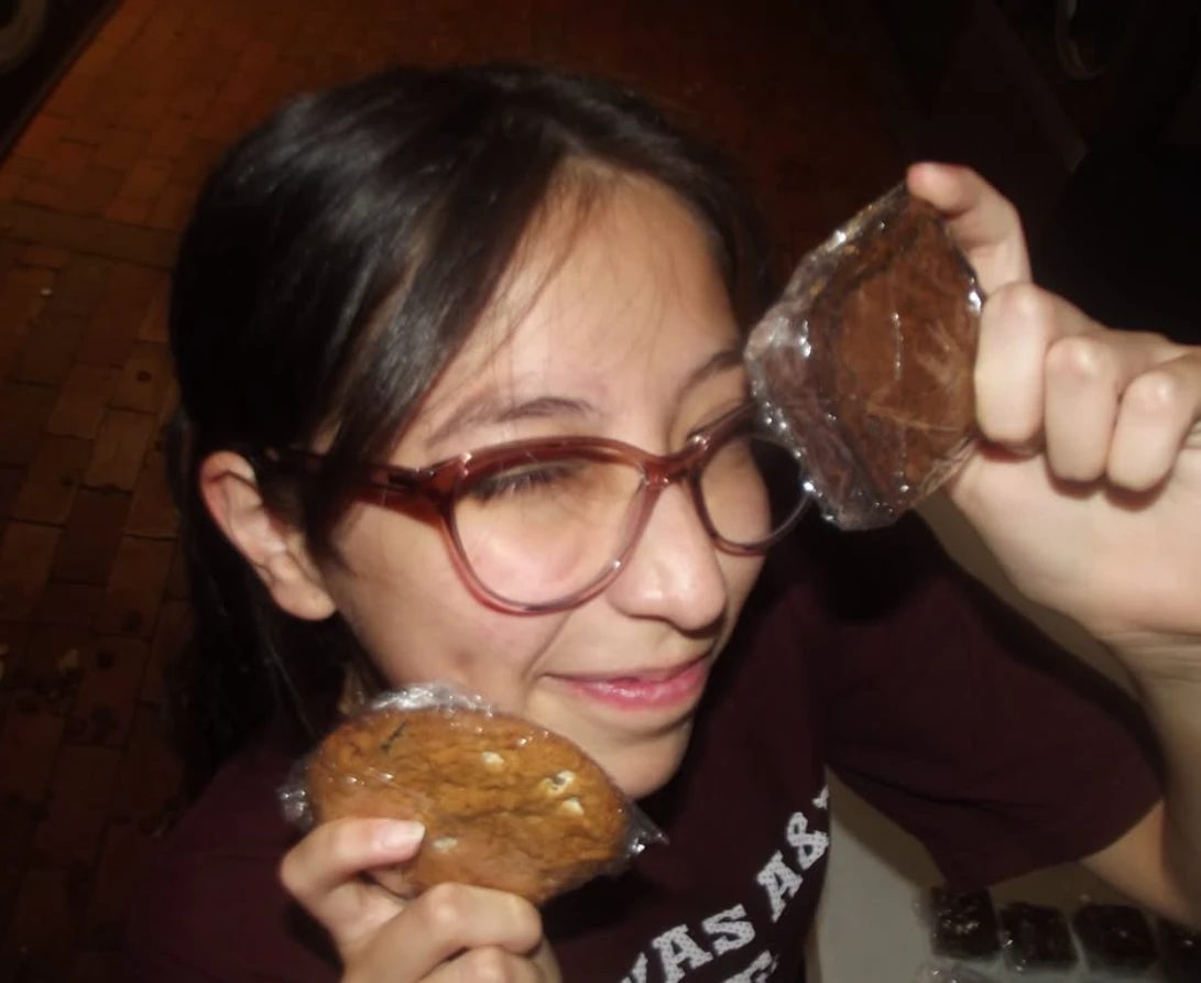 Cookies and brownies, fresh off the table