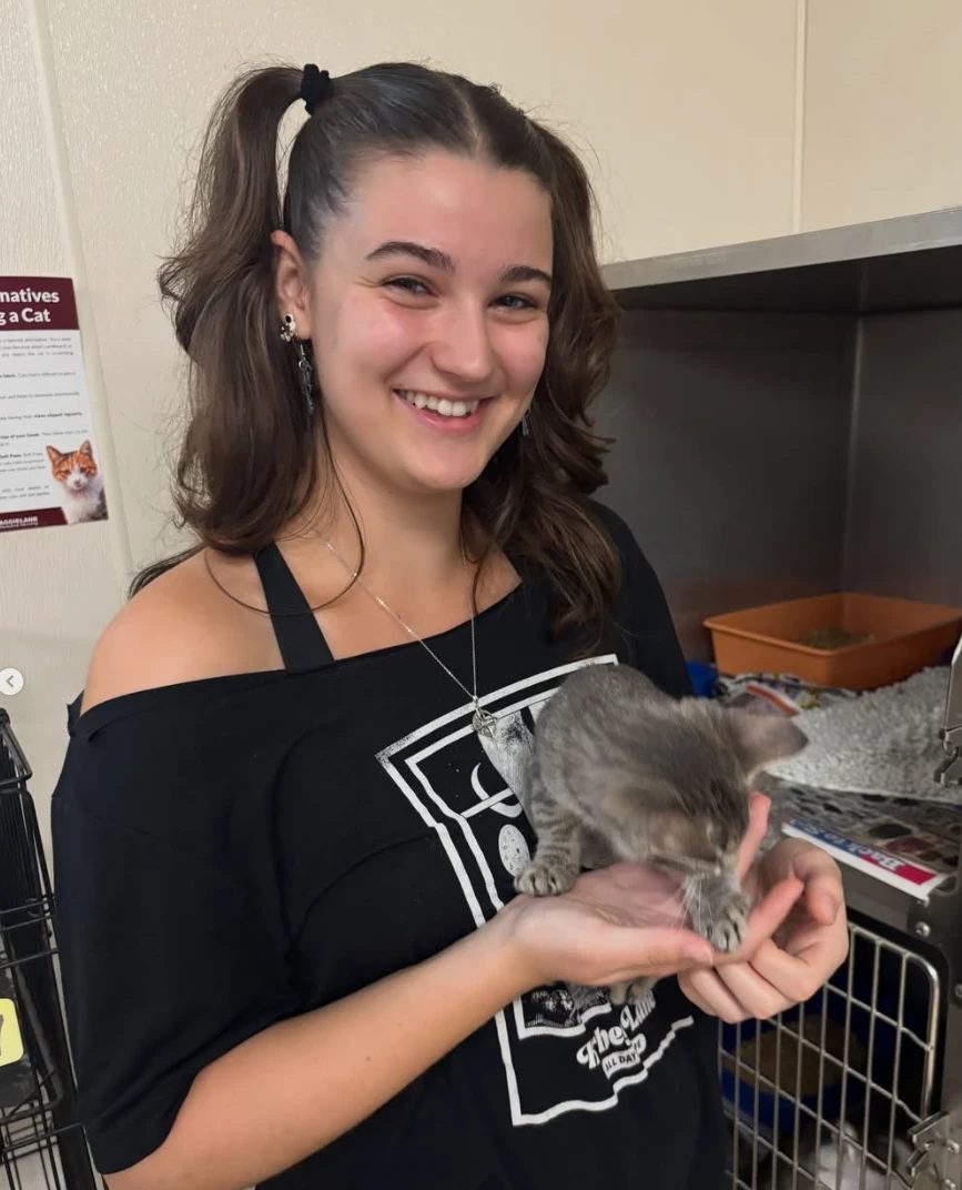 A member meets one of the shelter kittens
